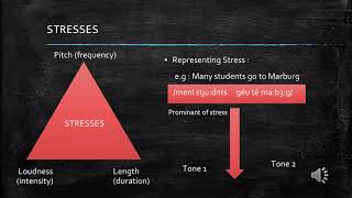 Prosodic and Suprasegmental Phonology [upl. by Adnilram866]