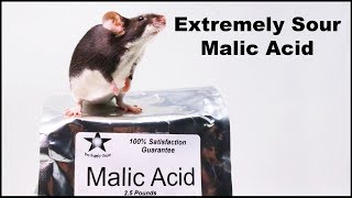 Does Extremely Sour Malic Acid Deter Mice amp Rats Mousetrap Monday [upl. by Wachtel]