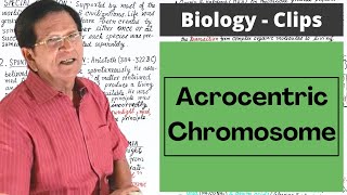 Acrocentric Chromosome  Biology Clips [upl. by Isbel]