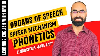 The Organs of Speech in Phonetics A Detailed Guide [upl. by Ariaes]