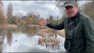 Lets go birding early March field trip Vancouver BC [upl. by Ressler]