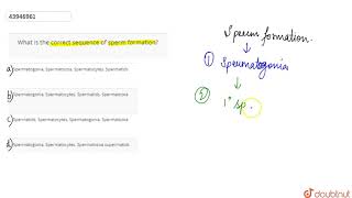 What is the correct sequence of sperm formation  12  HUMAN REPRODUCTION  BIOLOGY  A2Z  Do [upl. by Enneillij]