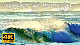 Surfers ride the waves at Woolamai Surf Beach Victoria Australia 8 hours of 4K UHD video [upl. by Pellegrini506]