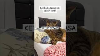 Besok Senin mecing meme pawmeme kerja senin [upl. by Weed40]