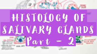 HIstology of Salivary Glands  Part 2 [upl. by Nniuqal]