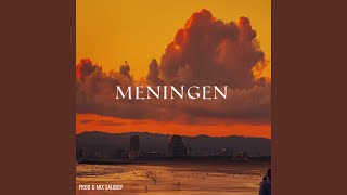 Meningen [upl. by Srevart587]