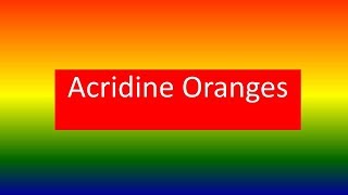 Acridine Oranges [upl. by Hamirak732]