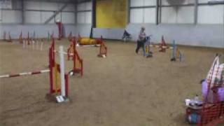 myerscough dog agility competition [upl. by Remsen]