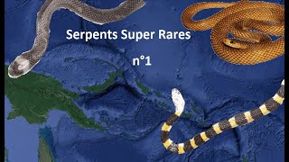 Serpents Super Rares n°1  Les Îles Salomon [upl. by Ginsburg564]