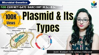 PLASMID  TYPE OF PLASMIDS  CSIR NET GATE  MSc  BSc Microbial genetics [upl. by Aibonez922]