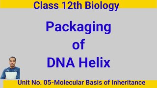 Packaging of DNA HelixDr NYR [upl. by Aitam]