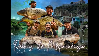 CARPFISHING REINAS DE MEQUINENZA [upl. by Issi]