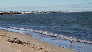 Jetties Beach Nantucket Island [upl. by Knobloch]