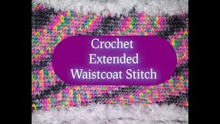 How to Double Crochet Waistcoat Stitch [upl. by Bettzel855]