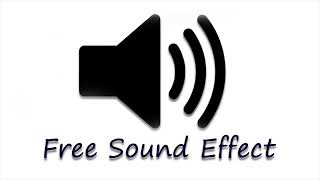 man laughing sound effect free sound effect [upl. by Ezara]