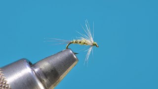 Olive Flymph a Great Fall Fly with Eric Austin [upl. by Leveridge]