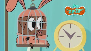 We need a hero   Zip Zip English  Full Episodes  4H  S1  Cartoon for kids [upl. by Hubsher]