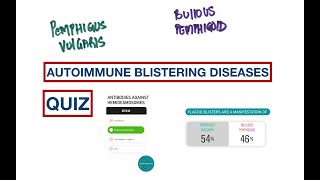 Blisters Pemphigus Vulgaris vs Bullous Pemphigoid  USMLE  MCQs [upl. by Leslee]