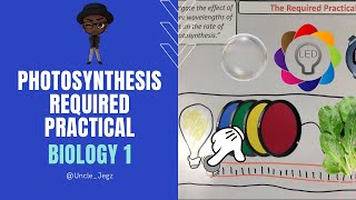 Photosynthesis Required Practical  GCSE Biology Paper 1 [upl. by Hosea]