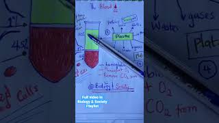 Blood Composition amp Functions  red blood cells  white blood cells  blood platelets  shorts [upl. by Akilegna]