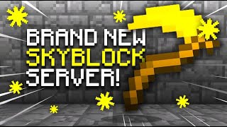 BRAND NEW SKYBLOCK SERVER OF 2024  Minecraft Skyblock  18  121 [upl. by Assadah]