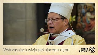 Wstrząsająca wizja pękającego dębu  kard Grzegorz Ryś [upl. by Delphine]