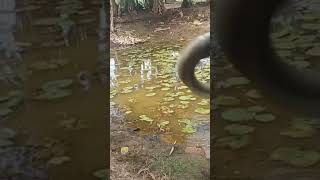 Cara bikin anak kya gini gimana sihcasting lgi dong fypシ゚viral mancing castinggabusdiparitkecil [upl. by Gillie]