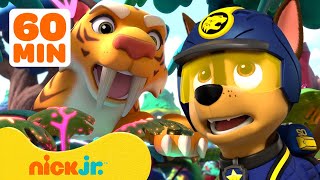 Paw Patrol Patrulla de cachorros  ¡Los rescates más valientes de los Mighty Pups  Nick Jr [upl. by Sib682]