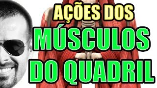 Vídeo Aula 116  Anatomia Humana  Sistema Muscular Ações dos Músculos do Quadril [upl. by Uase]