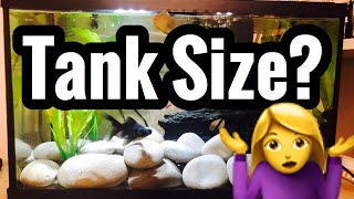 Goldfish Tank Size Myths amp Using Calculator [upl. by Hsakiv30]