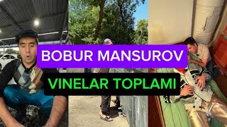 BOBUR MANSUROV  VINELAR TOPLAMI  ENG SARA VINELAR 2024 [upl. by Devaj]