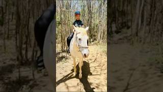 spendthedaywithme  quad biking and horse riding [upl. by Gunilla]