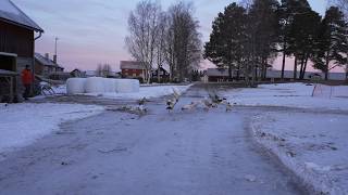 Winterroutine in Schweden  Einblick in unser Leben mit der Kälte 20° [upl. by Bowles]