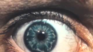 NeuroLymphatic Points amp Eye Review [upl. by Ankeny387]