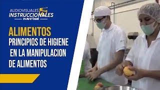 𝗔𝗟𝗜𝗠𝗘𝗡𝗧𝗢𝗦  Principios de higiene en la manipulación de alimentos [upl. by Gaeta821]