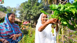 পালং শাক দিয়ে কৈ মাছের দারুন এক রান্না  Healthy Palak Shak recipe  Koi mach diye palang shak [upl. by Ennyrb768]