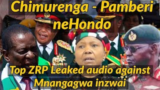 Top ZRP Leaked audio against Mnangagwa  Chimurenga 🇿🇼 [upl. by Aigneis]