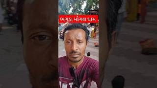 ભગુડા મોગલ ધામ 🙏 Bhaguda Mogal dham ☆ Mehul goswami vlogs shorts shortsfeed mehulgoswamivlogs [upl. by Lynea]