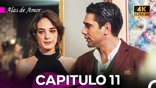 Alas de Amor Capitulo 11 Versión Larga 4K [upl. by Nolyag]