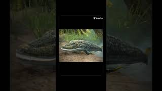 Tiktaalik edit microwave trend fypシ゚viral dinosaur [upl. by Anuait]