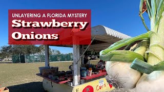 Unlayering a Florida Mystery  Strawberry Onions [upl. by Jesh]