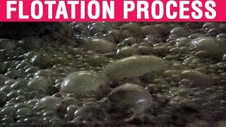 Froth Flotation Process  Mineral Processing  Froth Flotation Video [upl. by Stanwin]