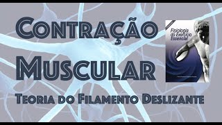 CONTRAÇÃO MUSCULAR  Modelo do Filamento Deslizante [upl. by Huntington]