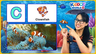 ABC Sea Animals Names AZ for Children  Learn Alphabet with Miss V and Sea Animal Trivia [upl. by Marva]