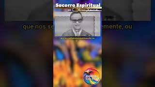 SOCORRO ESPIRITUAL POR CHICO XAVIER shortsadoptme fe espiritismo saber ytb paz chicoxavier [upl. by Eradis]