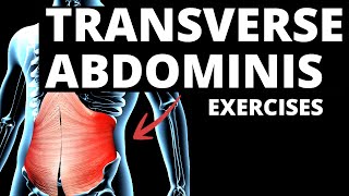 7 Effective TRANSVERSE ABDOMINIS Exercises WORK IMMEDIATELY [upl. by Anidan894]