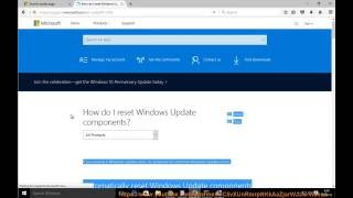 Fix Error Code 80244019 when Updating Windows [upl. by Drofyar905]