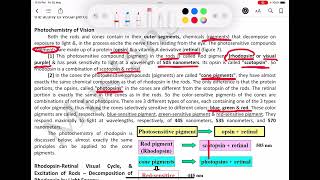 Special sense vision photochemistry of vision [upl. by Nnire]