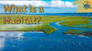 What Is A Habitat  Educational Videos for Kids [upl. by Elrahc]