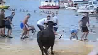 Bous a la Mar  Bulls Running to the Sea  Javea Fiestas Denia Spain [upl. by Llewellyn]